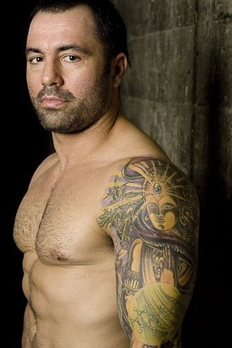 joe rogan ufc