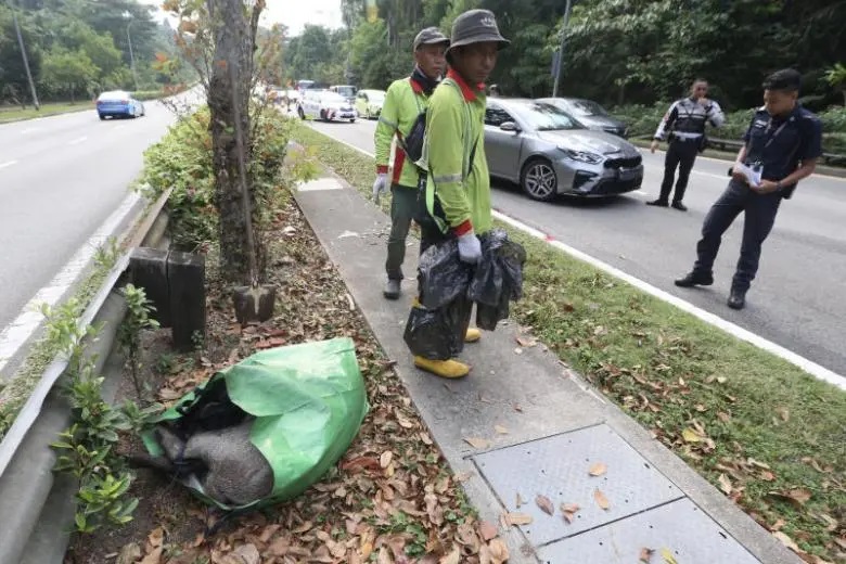 Watch Mandai Road Accident Video Went Viral On The Internet, Explained!