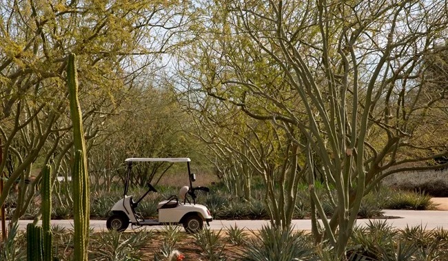 Why Golf Cart Accident Lawyer In Panama City Is Important? What Are The Causes Of Such Type Of Accidents?