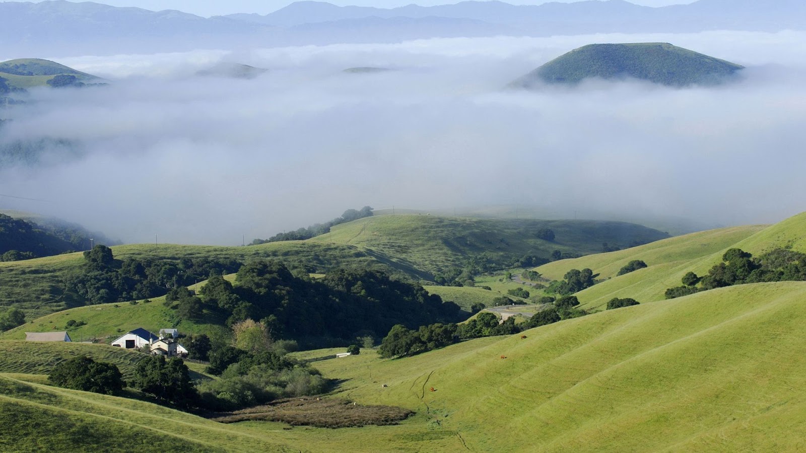 Ooty - Heaven on Earth: Top 5 Best Romantic Places For Valentine's Day 2022 In India To Visit With Boyfriend / Girlfriend To Celebrate Valentine's Week