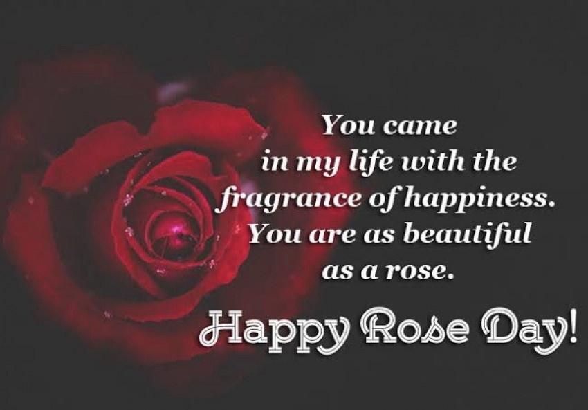 Happy Rose Day 2022 Wishes Quotes Images Videos WhatsApp Status Facebook Post Instagram Stories Gifts & More