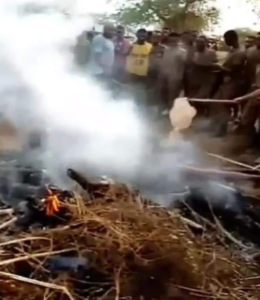 Watch Ethiopian Burning Civilians Video Shocked Netizen On Social Media, A Civilian Burned Alive Sparks Anger, Check Latest News