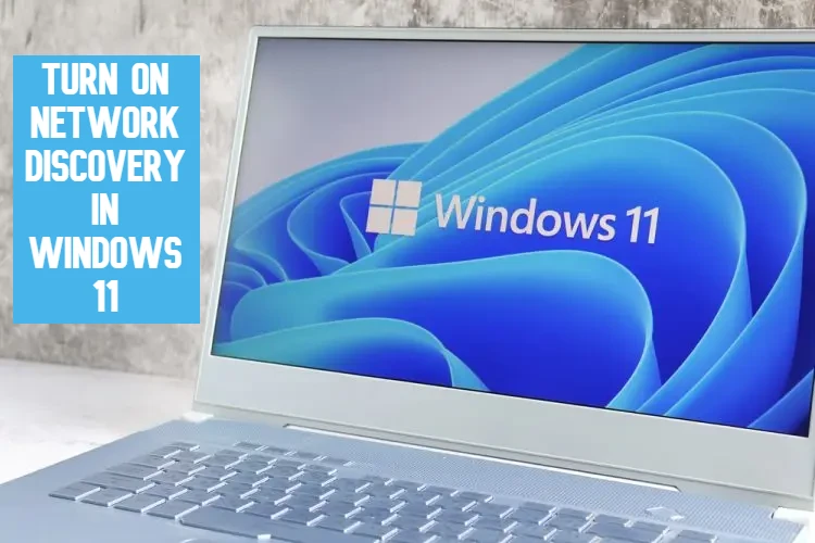 Turn on network discovery in Windows 11