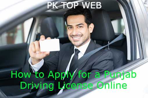 How to Apply for Punjab Driver License Online PKtopweb