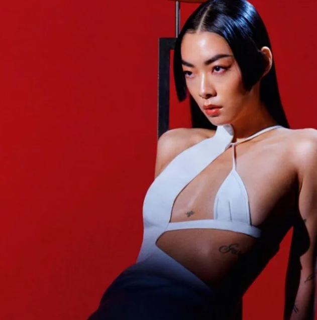 Rina Sawayama’s friend, who is he?  The British singer’s dating history explained