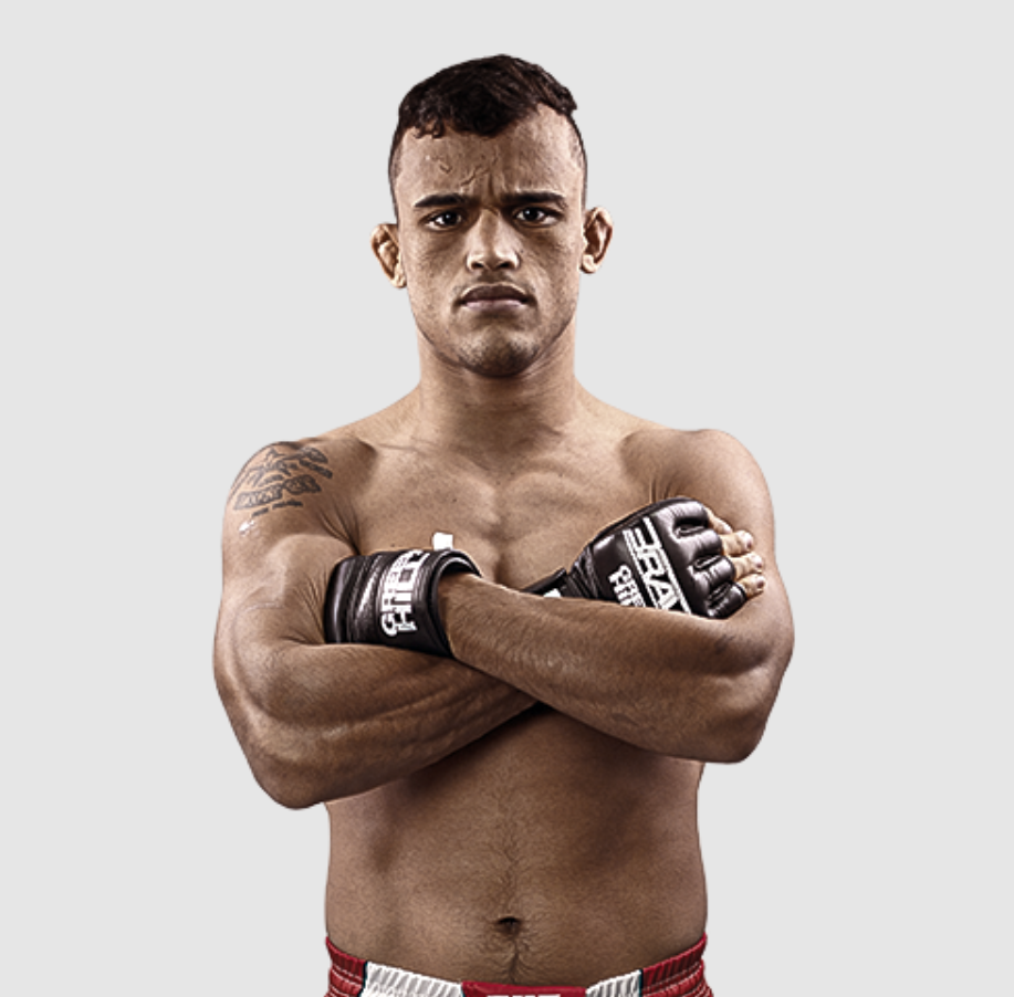 Who is Daniel Santos in the UFC?  Facts About Fighters